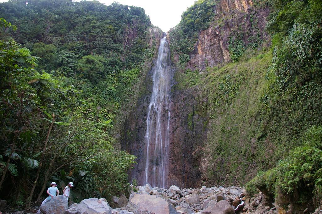 Kaz Creole Aventure Tropicale Insolite, Fibre, Jardin Et Jacuzzi Prives Saint-Francois  Zewnętrze zdjęcie