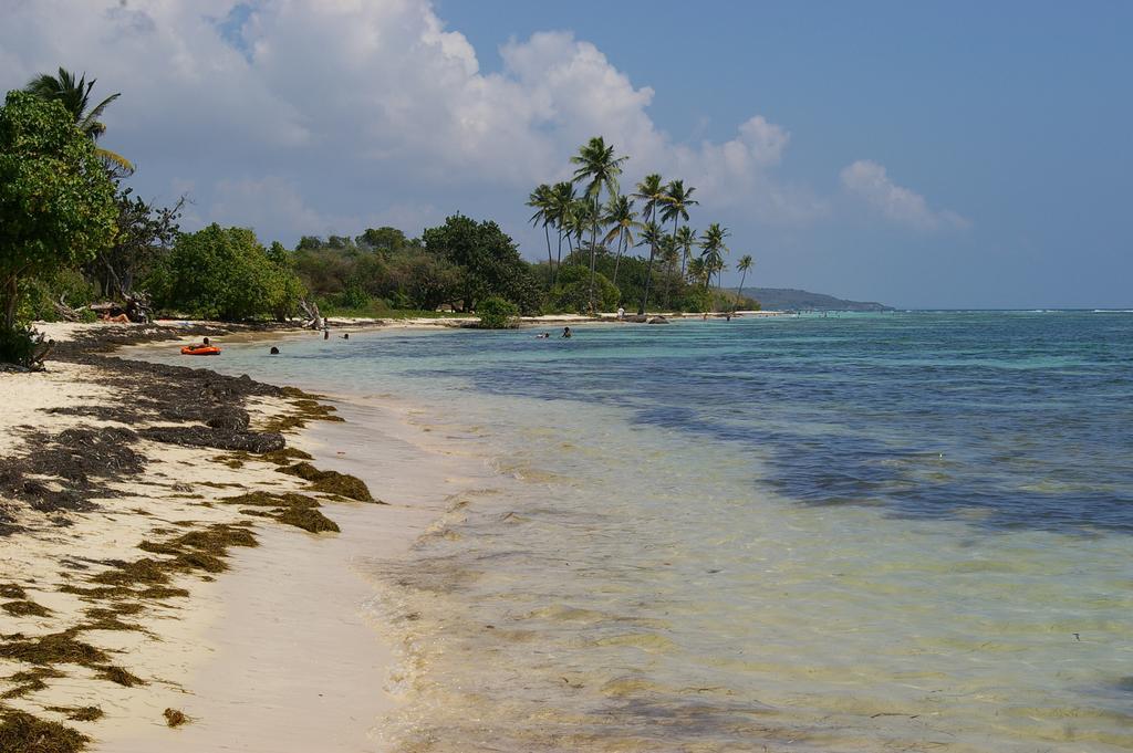 Kaz Creole Aventure Tropicale Insolite, Fibre, Jardin Et Jacuzzi Prives Saint-Francois  Zewnętrze zdjęcie