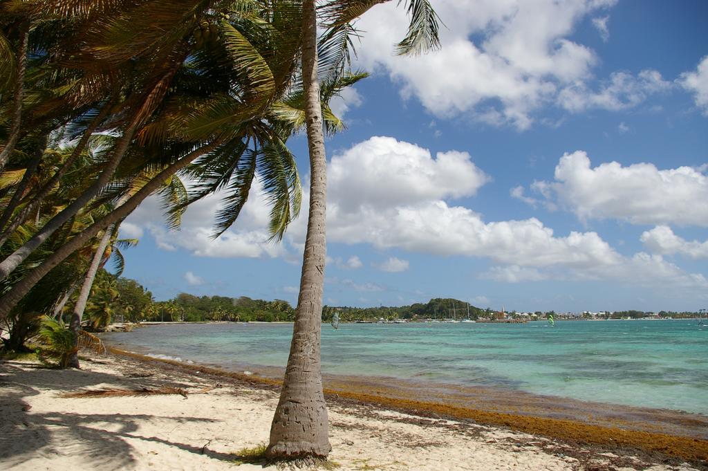 Kaz Creole Aventure Tropicale Insolite, Fibre, Jardin Et Jacuzzi Prives Saint-Francois  Zewnętrze zdjęcie