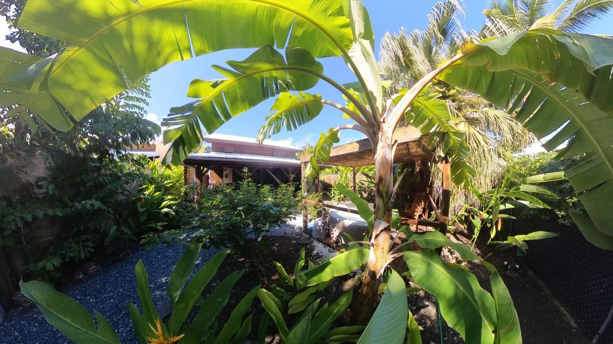 Kaz Creole Aventure Tropicale Insolite, Fibre, Jardin Et Jacuzzi Prives Saint-Francois  Zewnętrze zdjęcie